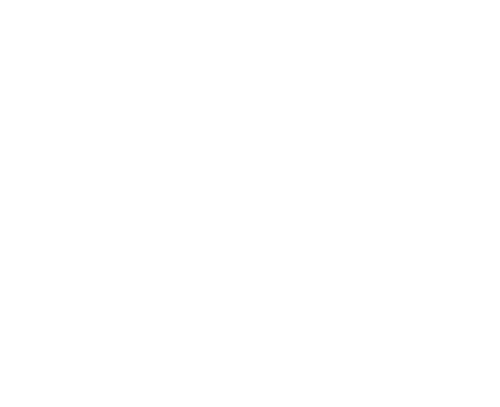 Apex Auto Parts