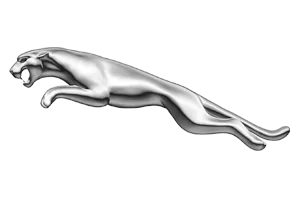 Automotive Brand