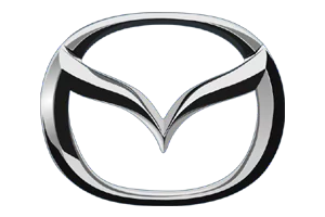 Automotive Brand